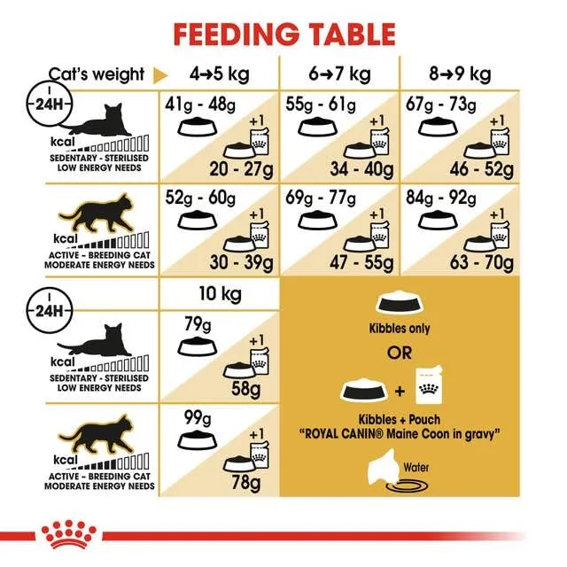 Royal Canin Maine Coon Adult | 400 g | Cibo secco per gatti | Adattato alle esigenze dei gatti Maine Coon | Per il sostegno delle articolazioni e delle ossa - immagine 7