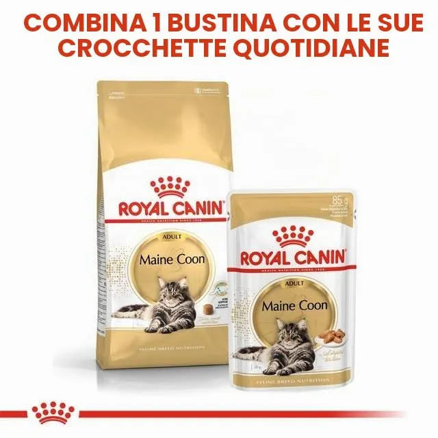 Royal Canin Maine Coon Adult | 400 g | Cibo secco per gatti | Adattato alle esigenze dei gatti Maine Coon | Per il sostegno delle articolazioni e delle ossa - immagine 8