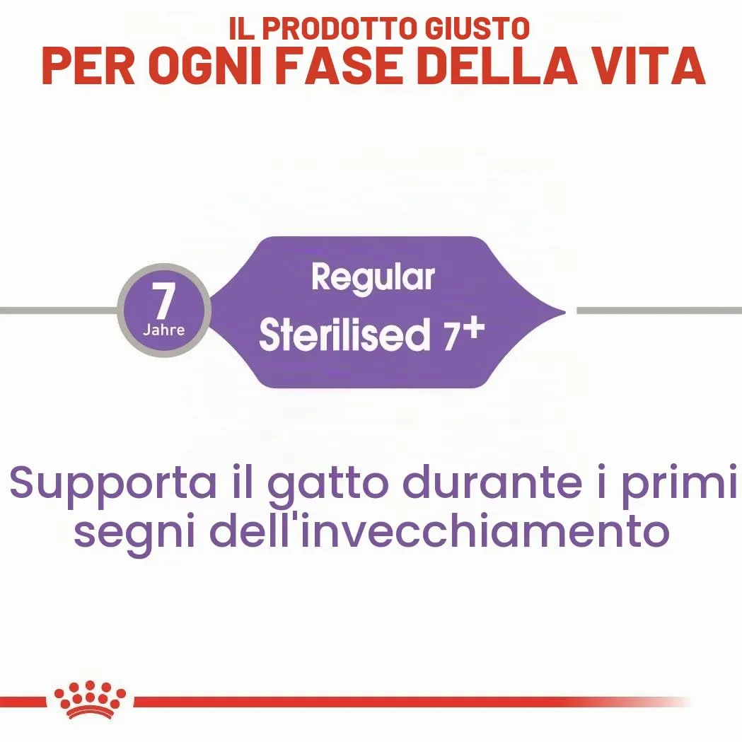 Royal Canin Regular STERILISED 7+ | 400 g | Alimento completo per gatti sterilizzati | Può contribuire al supporto della funzione renale e urinaria | Complesso vitalità - immagine 4