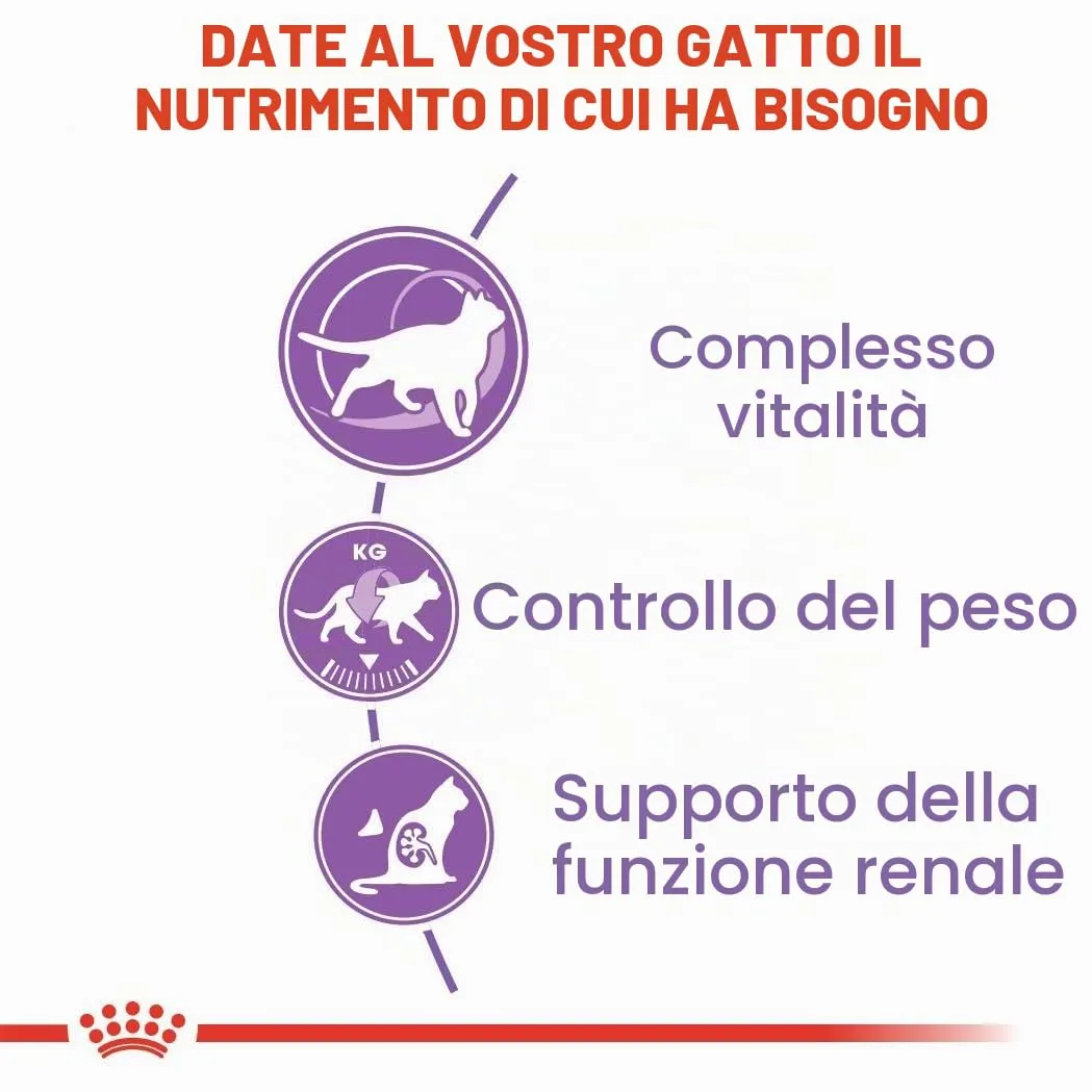 Royal Canin Regular STERILISED 7+ | 400 g | Alimento completo per gatti sterilizzati | Può contribuire al supporto della funzione renale e urinaria | Complesso vitalità - immagine 5