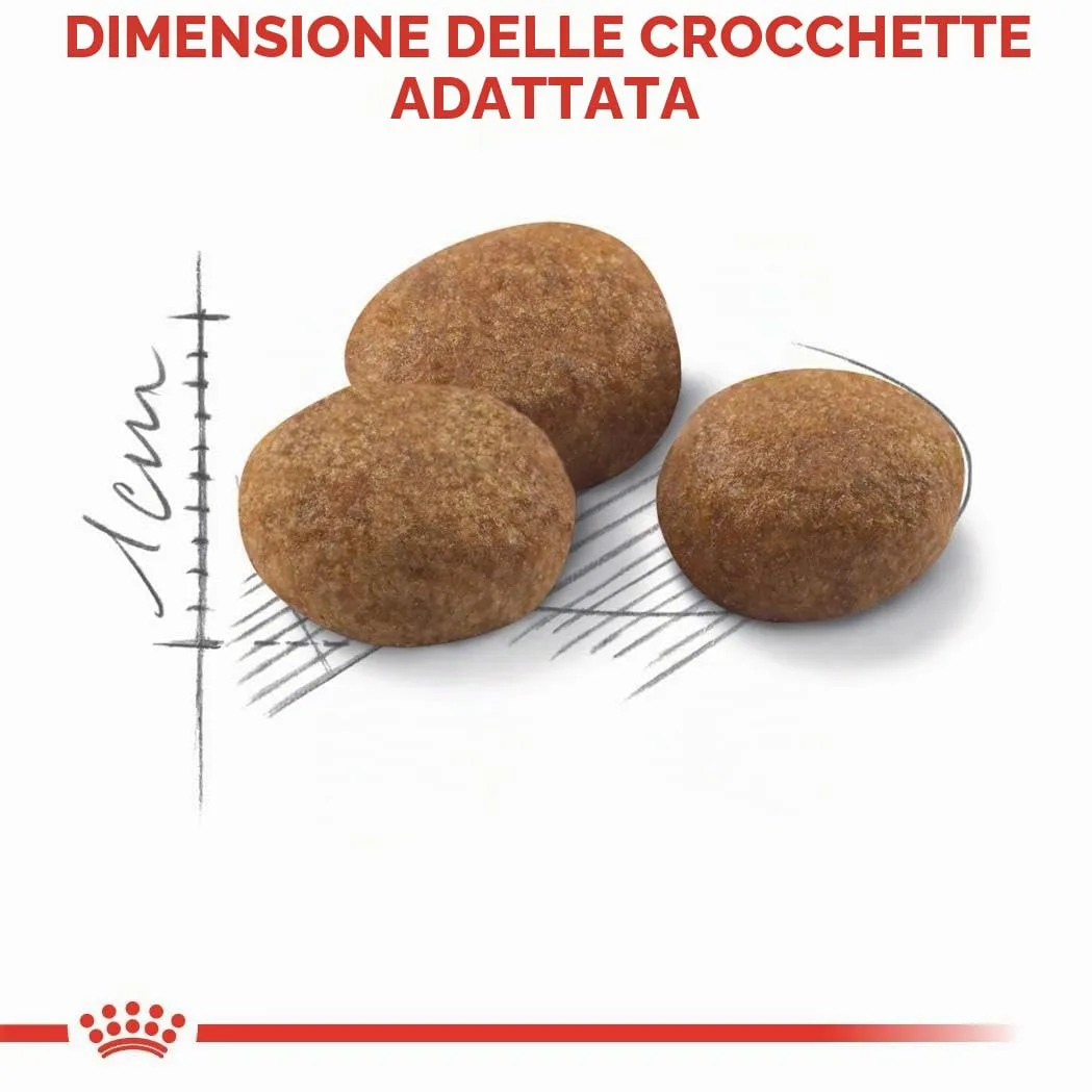 Royal Canin Regular STERILISED 7+ | 400 g | Alimento completo per gatti sterilizzati | Può contribuire al supporto della funzione renale e urinaria | Complesso vitalità - immagine 6