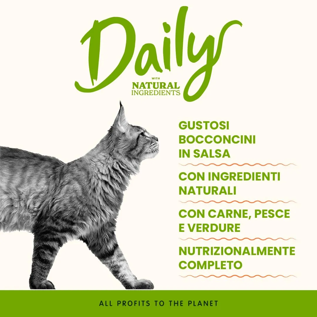 Almo Nature Daily - Alimento Umido Completo Per Gatti Adulti Con Pollo e Salmone - Bocconcini, Confezione da 2.1 kg (30 x 70 g) - immagine 2