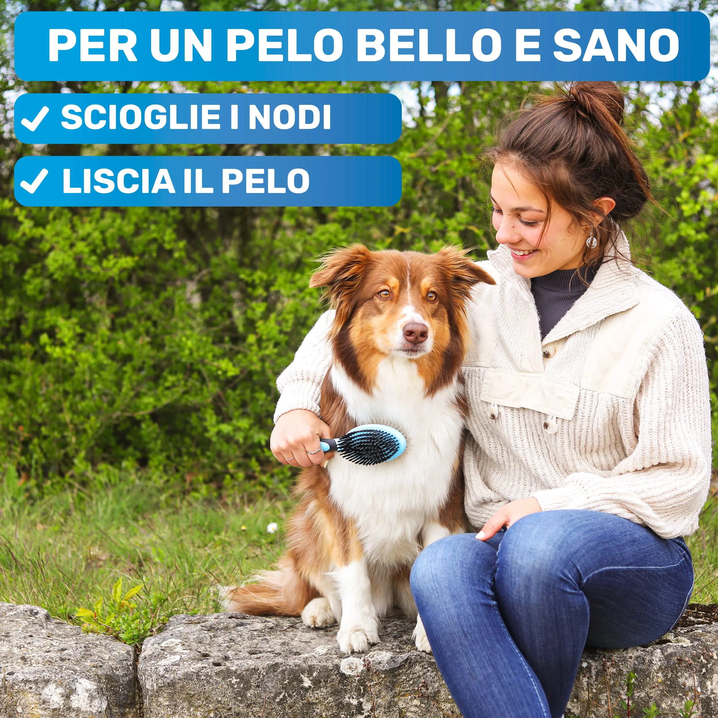 BluePet 2in1 Spazzola per Cani Pelo Lungo e Corto, Pettine Cuccioli e Gatti - immagine 2