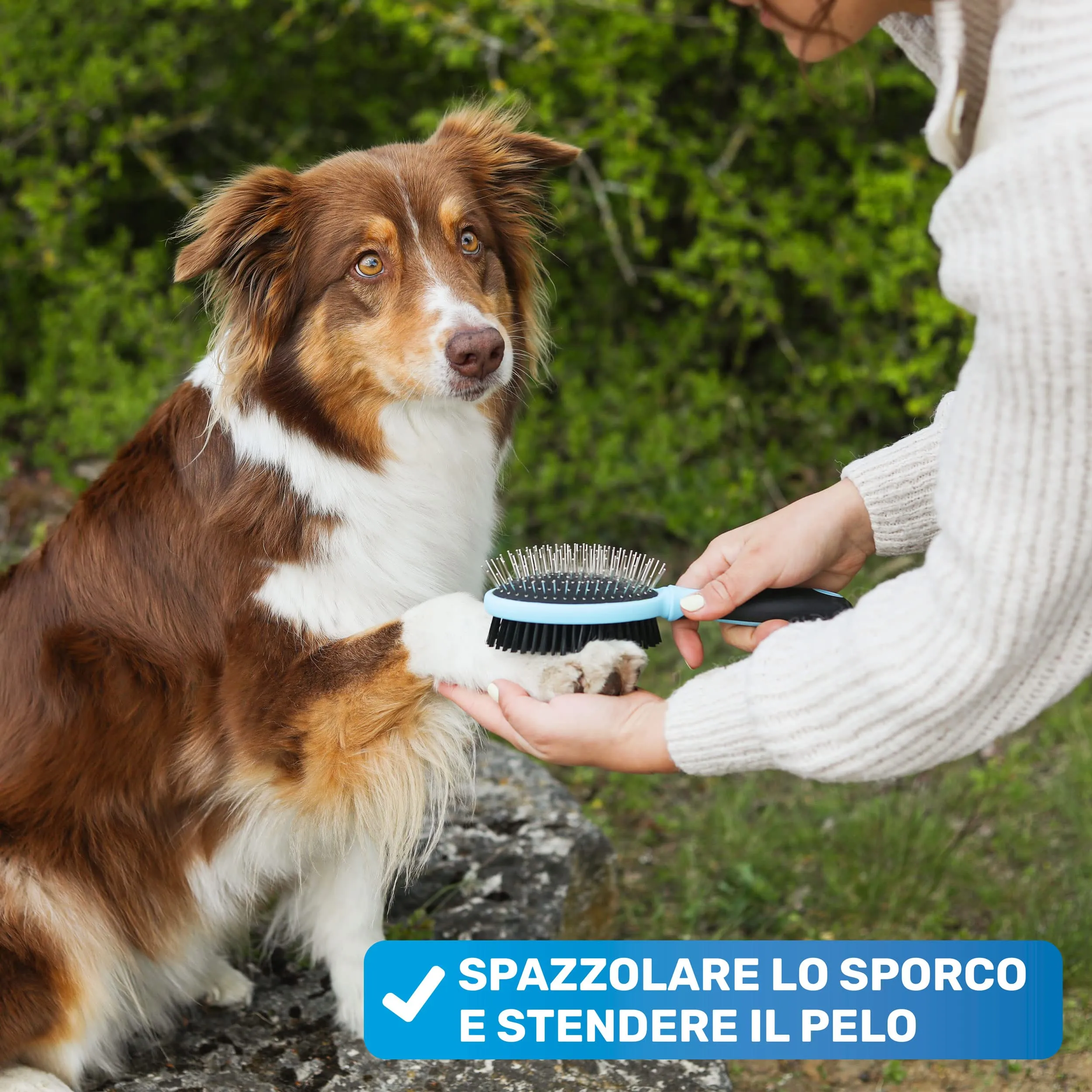 BluePet 2in1 Spazzola per Cani Pelo Lungo e Corto, Pettine Cuccioli e Gatti - immagine 5