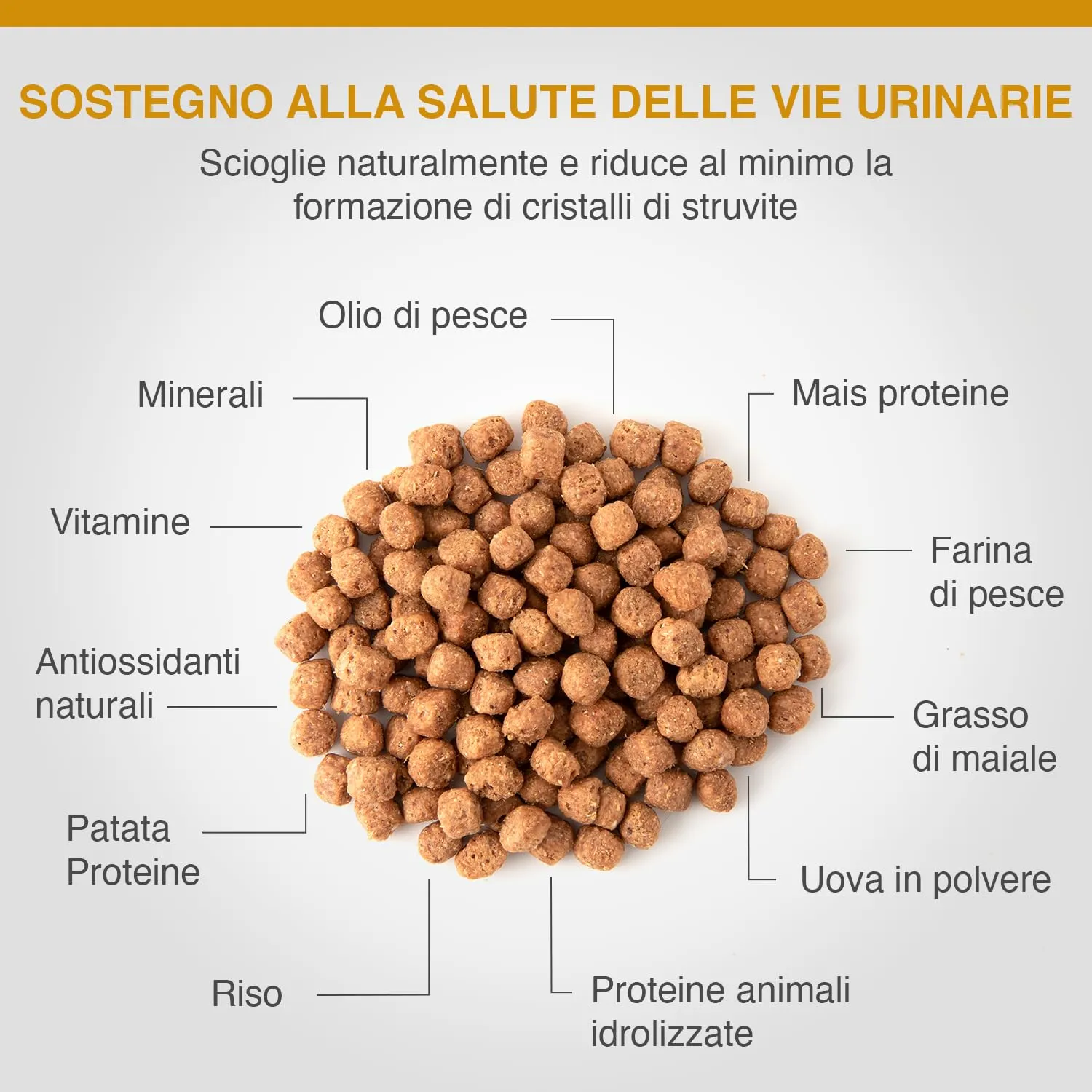 SPECIFIC® Crystal Management (FCD) - 2kg - Crocchette per gatti adulti - Omega 3 - Basso contenuto di sale - Per sciogliere e ridurre i calcoli di struvite - Dechra Veterinary Products - immagine 3