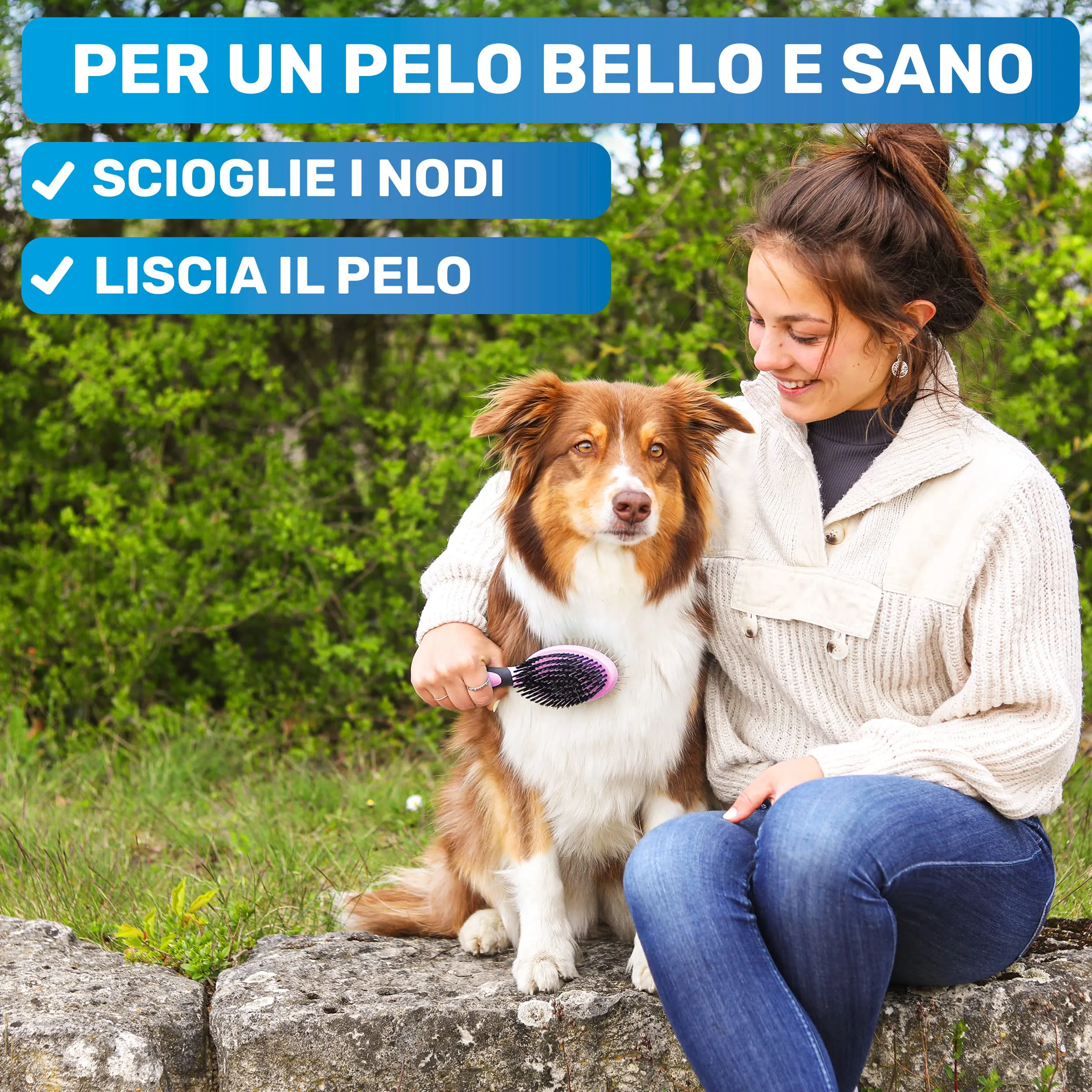 BluePet 2in1 Spazzola per Cani Pelo Lungo e Corto, Pettine Cuccioli e Gatti - immagine 2