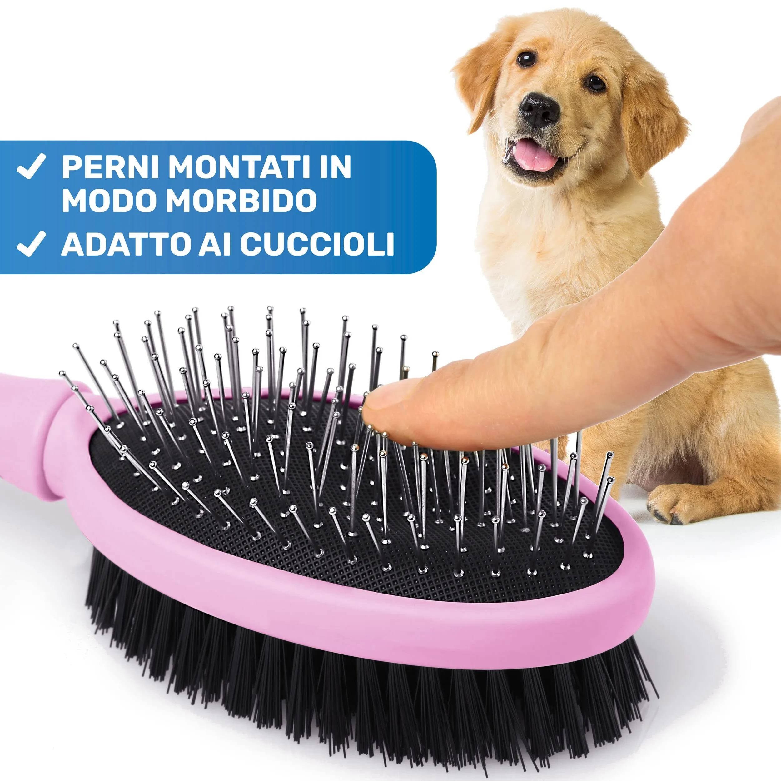 BluePet 2in1 Spazzola per Cani Pelo Lungo e Corto, Pettine Cuccioli e Gatti - immagine 6