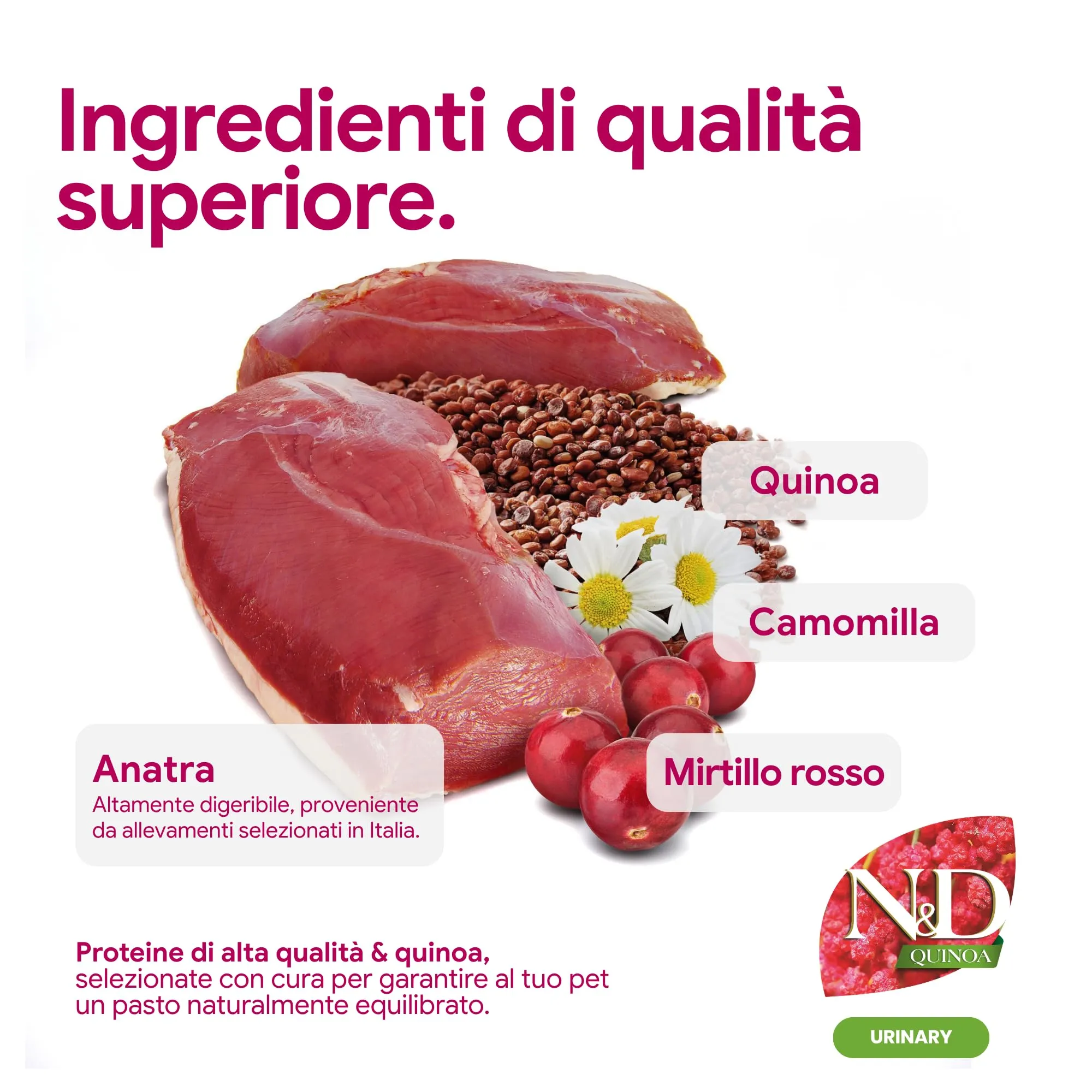 Farmina, N&D Quinoa Urinary, Anatra, Mirtilli & Camomilla, Gatto Adult, 5kg - immagine 3