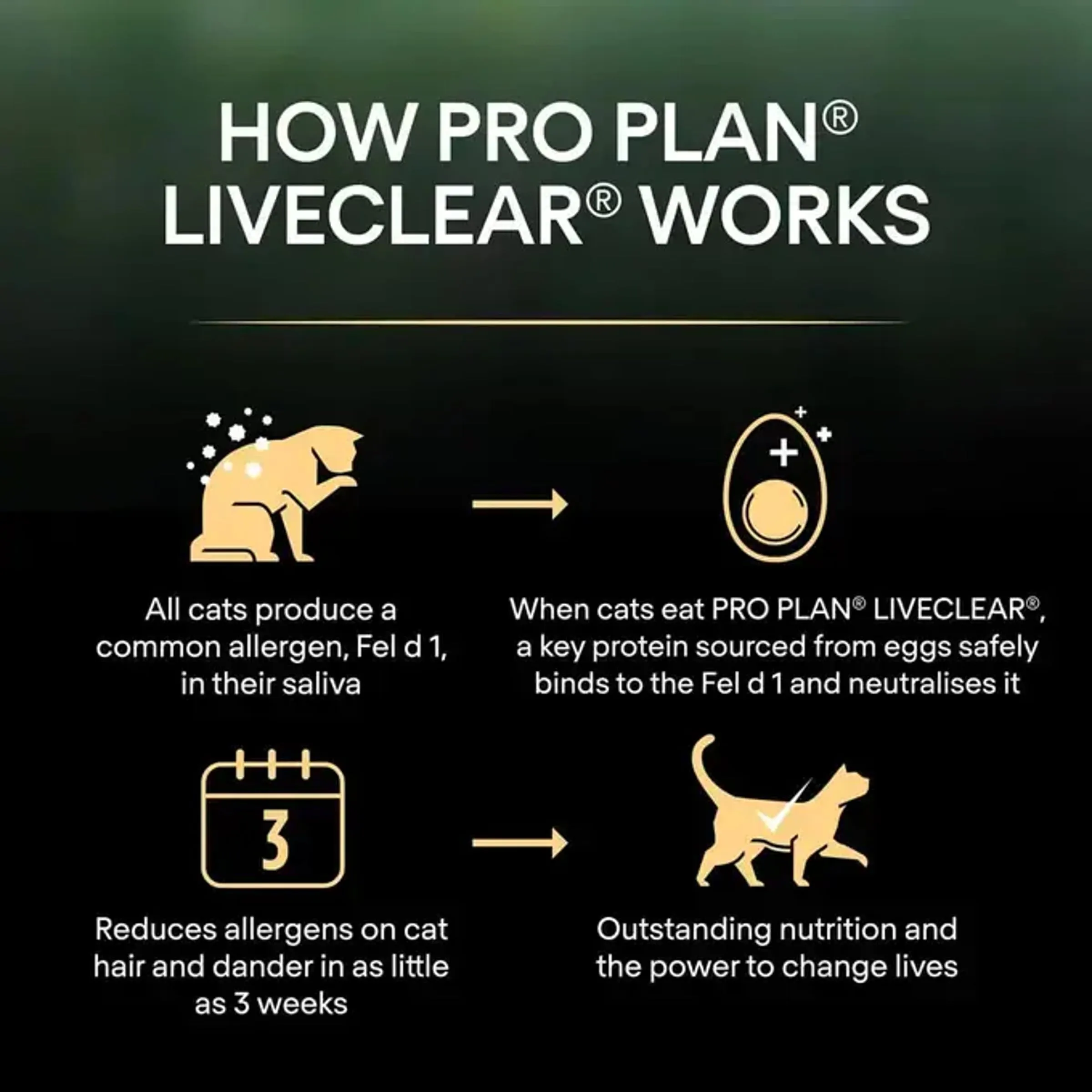 Pro Plan Liveclear Adulto Sterilizzato, 1+, ricco di tacchino, 1,4 kg - immagine 5