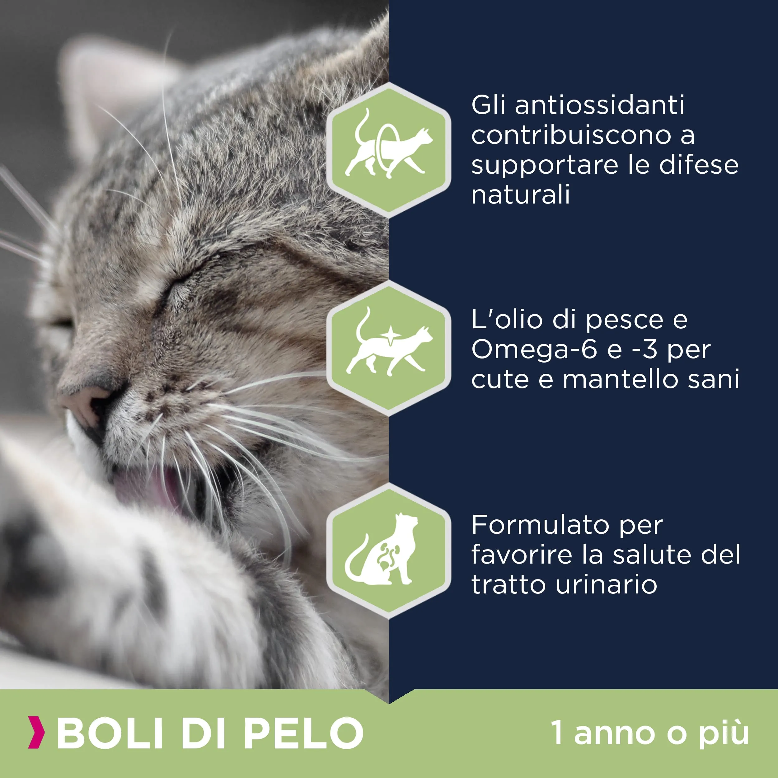 Eukanuba Hairball Control Alimento Secco per Gatti Adulti e Anziani, Ricca di Pollo Fresco, 10 kg - immagine 4