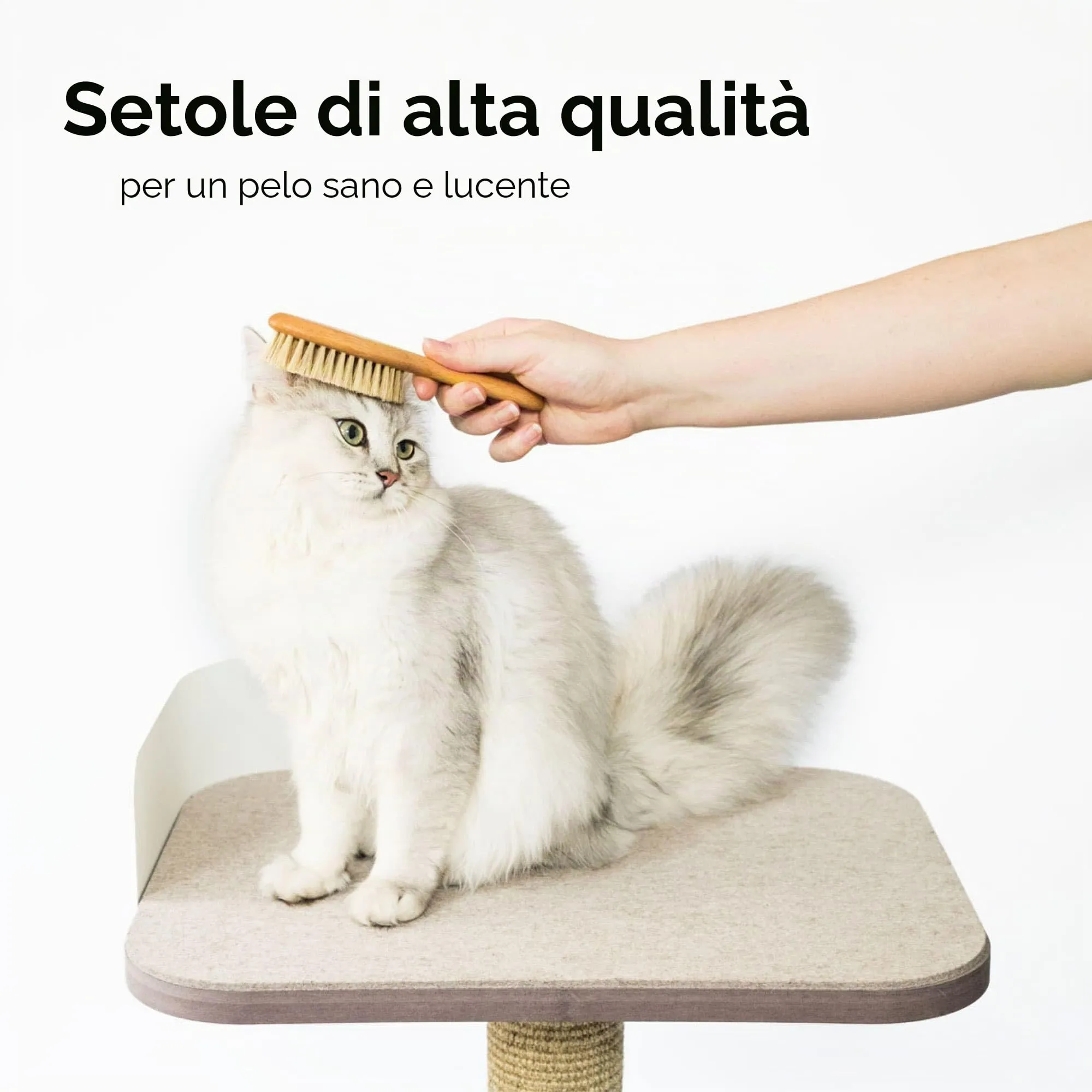 LucyBalu® Figaro Spazzola per gatti con setole naturali e legno I Naturale - immagine 3