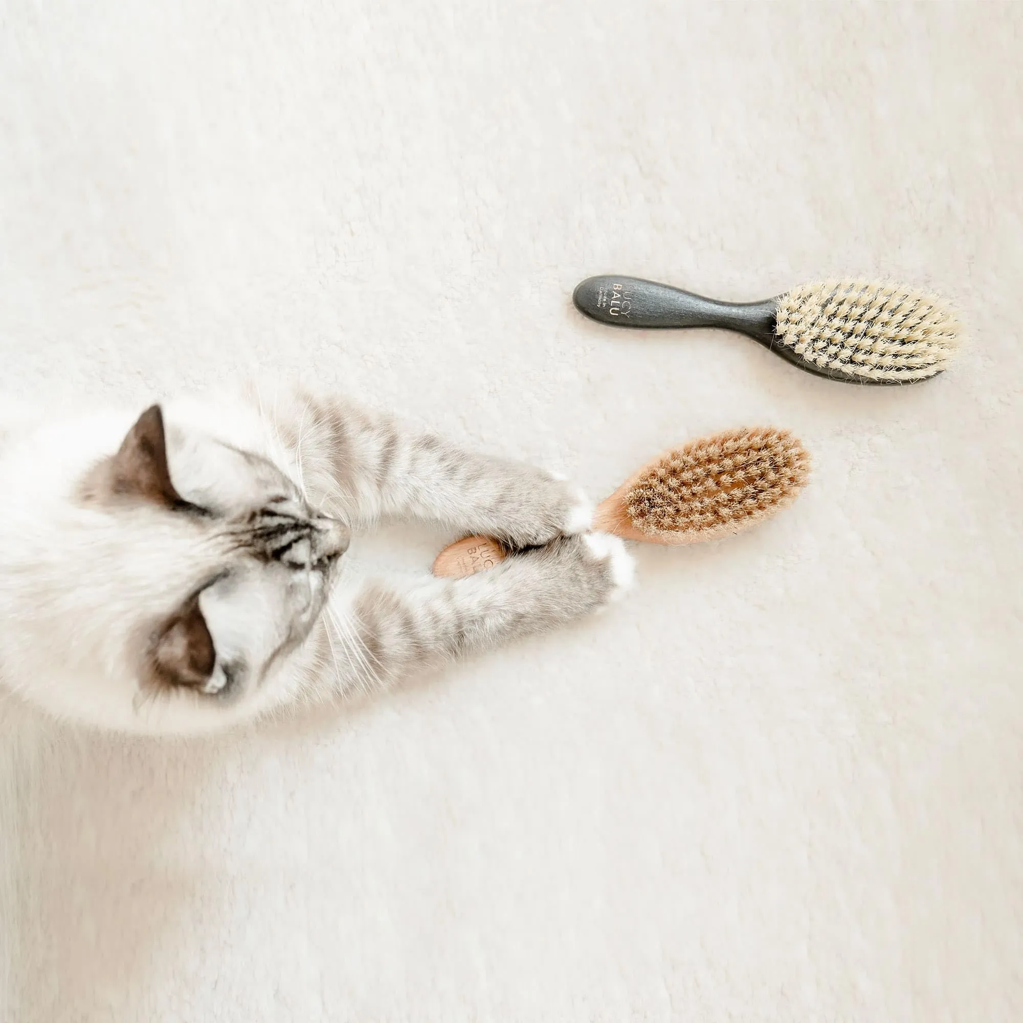 LucyBalu® Figaro Spazzola per gatti con setole naturali e legno I Naturale - immagine 5