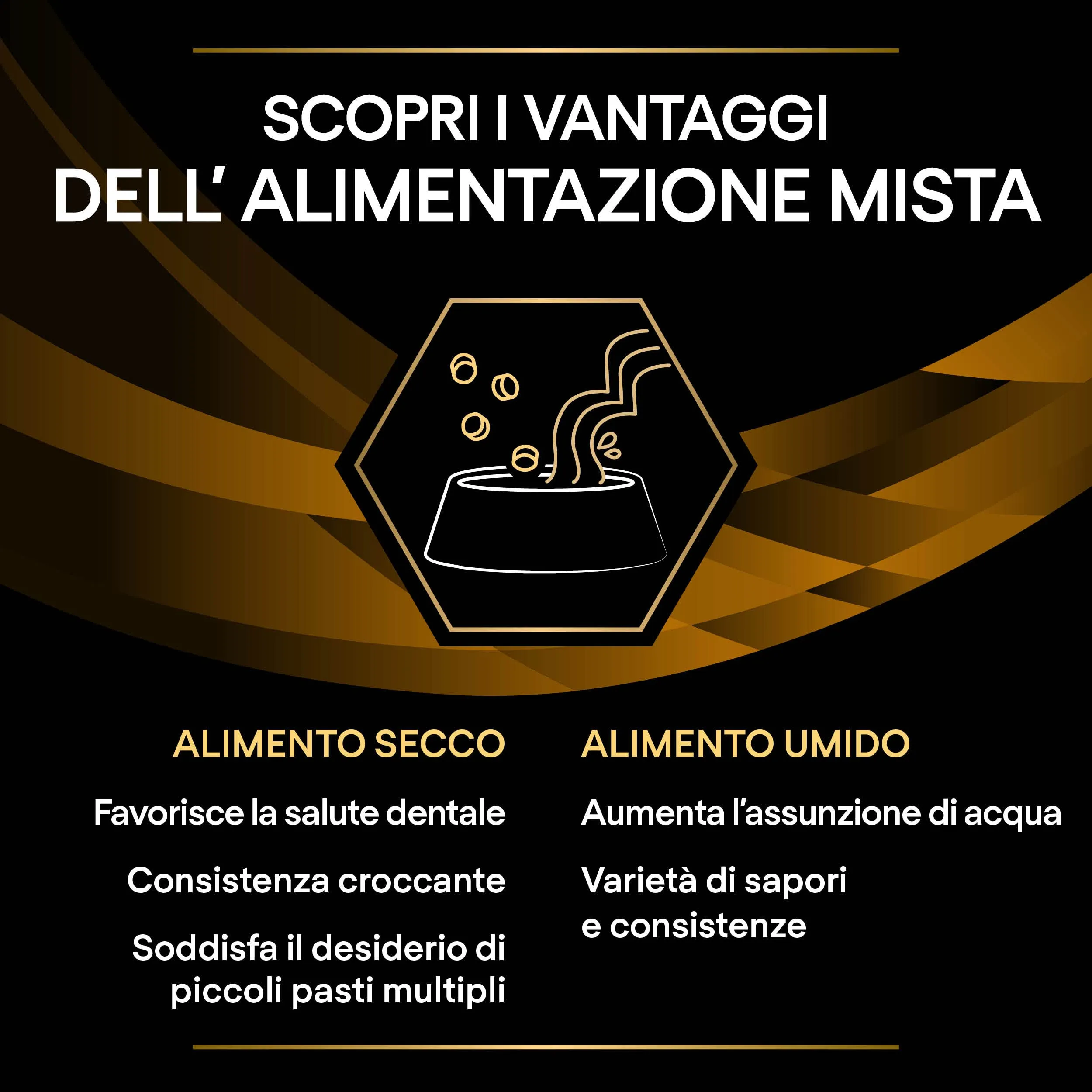 PURINA PRO PLAN VETERINARY DIETS umido gatto NF Renal Function - immagine 9