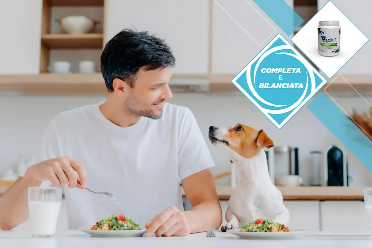 Q.Diet Compensa Ultra Cane Gatto 1kg in Polvere - Mangime Complementare per Cani e Gatti Ricco di Vitamine E Minerali Ideale A Completamento delle Diete Casalinghe - Confezione Grande da Chilo. - immagine 3