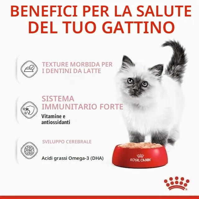 ROYAL CANIN Kitten Mousse in Salsa | Confezione da 4 | 4 x 12 x 85 g | Cibo umido per gatti | Specifico per gattini nella seconda fase di crescita fino a 12 mesi | Consistenza morbida - immagine 6