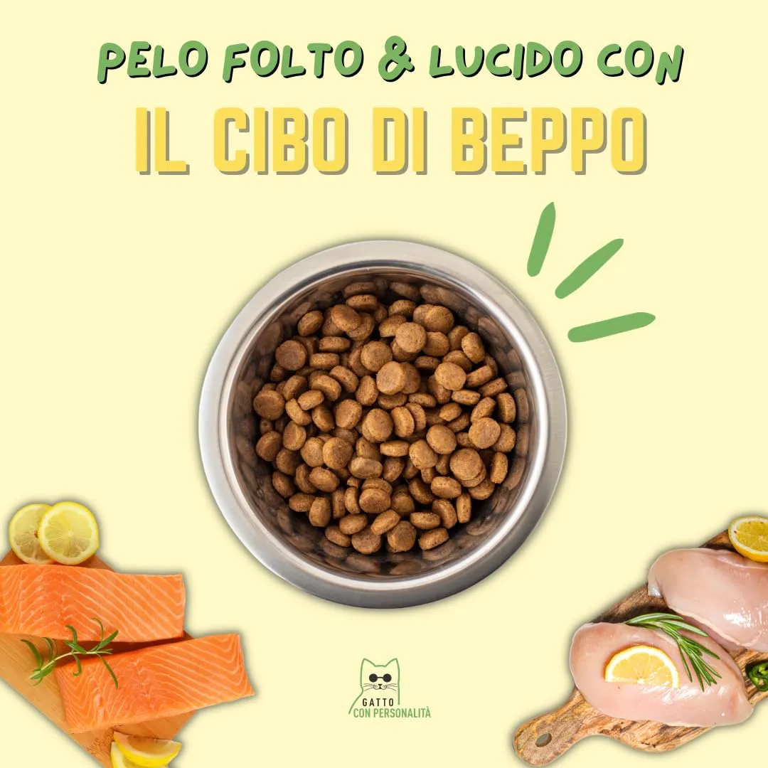 Gatto con Personalità Il Cibo Di Beppo - Cibo Secco Per Gatti Adulti - Crocchette Senza Cereali Di Alta Qualità: Grain Free E Senza Glutine - Alimento Completo (Tacchino con Pollo, 1,5kg) - immagine 3