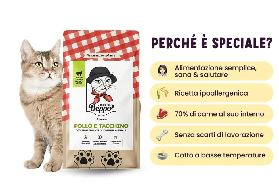 Gatto con Personalità Il Cibo Di Beppo - Cibo Secco Per Gatti Adulti - Crocchette Senza Cereali Di Alta Qualità: Grain Free E Senza Glutine - Alimento Completo (Tacchino con Pollo, 1,5kg) - immagine 4