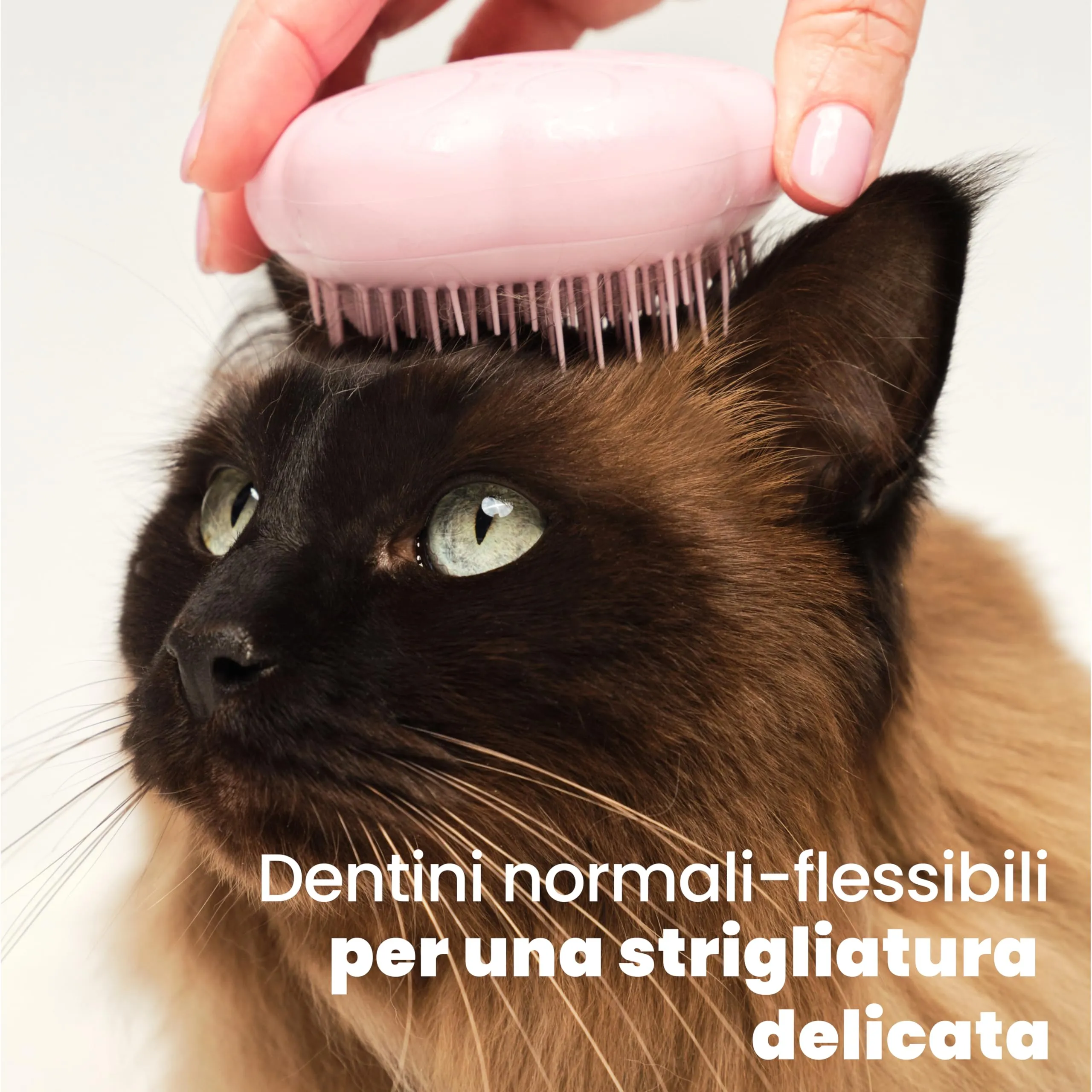 Tangle Teezer Pet Teezer Cat Brush - Animali Domestici Spazzola Gatto e Gattini - pettine cattura togli peli gatti - a doppio livello per pelo corto e medio - Dona morbidezza e lucentezza - Rosa - immagine 4