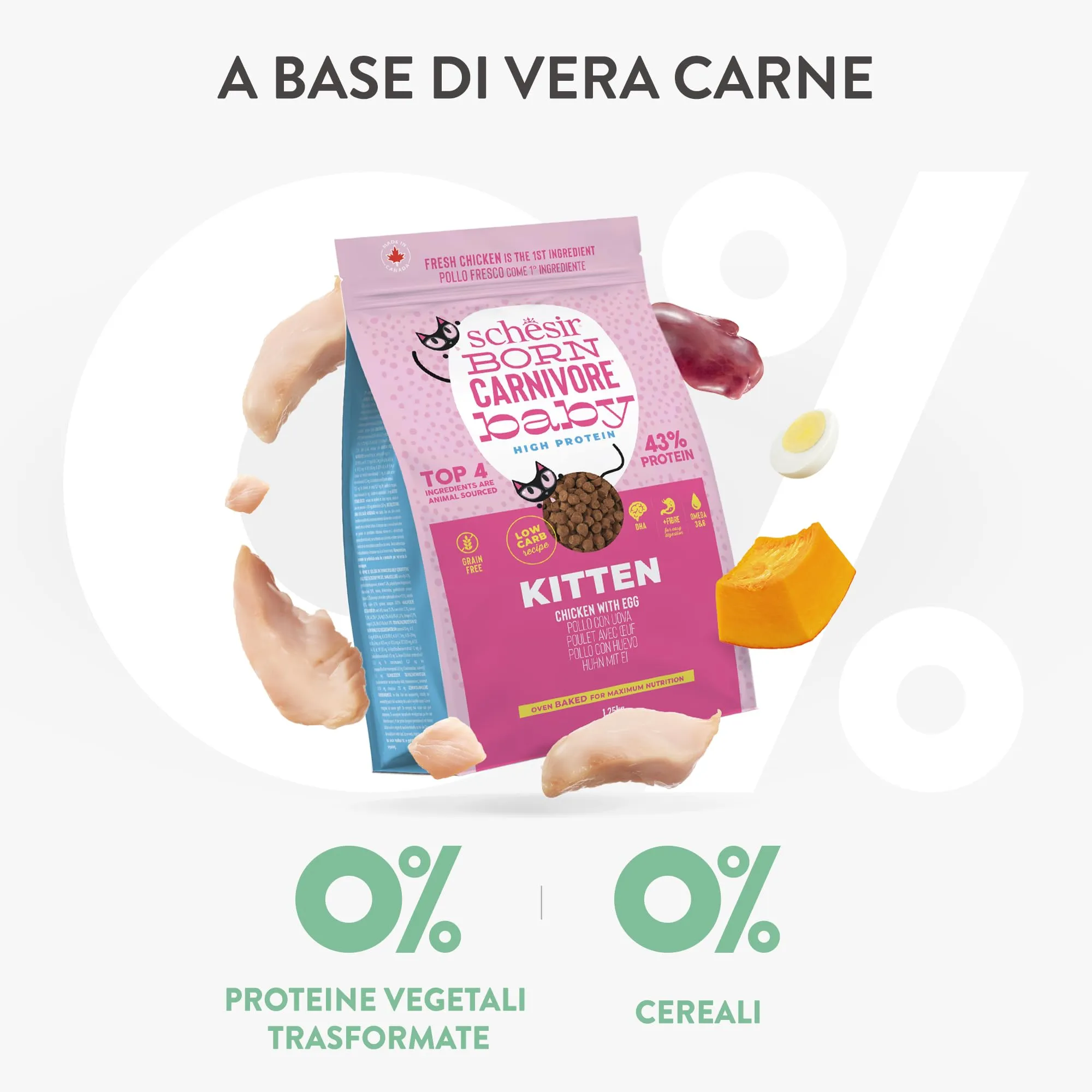 Schesir Born Carnivore Baby, Alimento Secco Completo Per Cuccioli di Gatto, Pollo con Uovo, Alto Contenuto Proteico, Cotto in Forno, Grain Free, 255 g - immagine 5