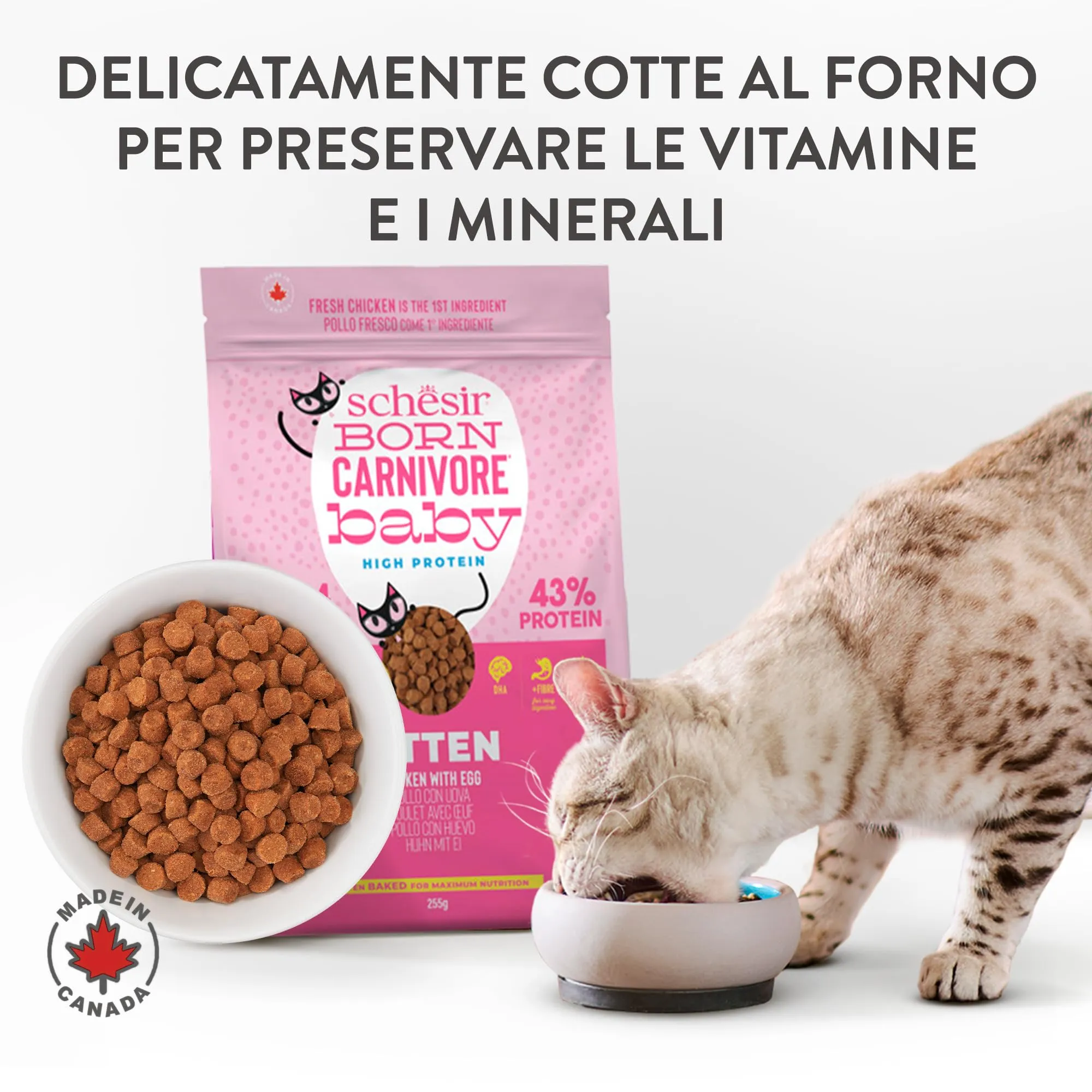 Schesir Born Carnivore Baby, Alimento Secco Completo Per Cuccioli di Gatto, Pollo con Uovo, Alto Contenuto Proteico, Cotto in Forno, Grain Free, 255 g - immagine 6