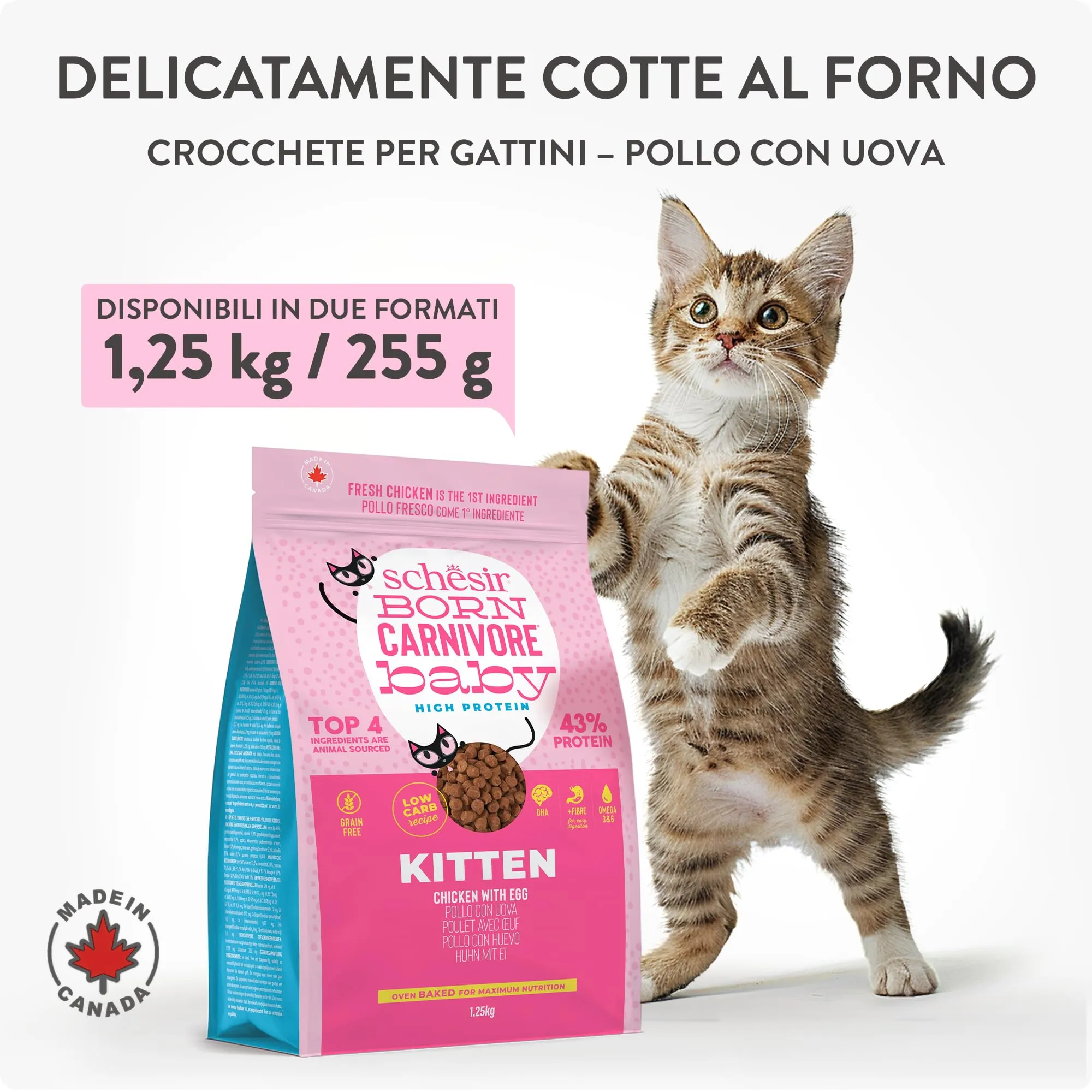 Schesir Born Carnivore Baby, Alimento Secco Completo Per Cuccioli di Gatto, Pollo con Uovo, Alto Contenuto Proteico, Cotto in Forno, Grain Free, 255 g - immagine 7