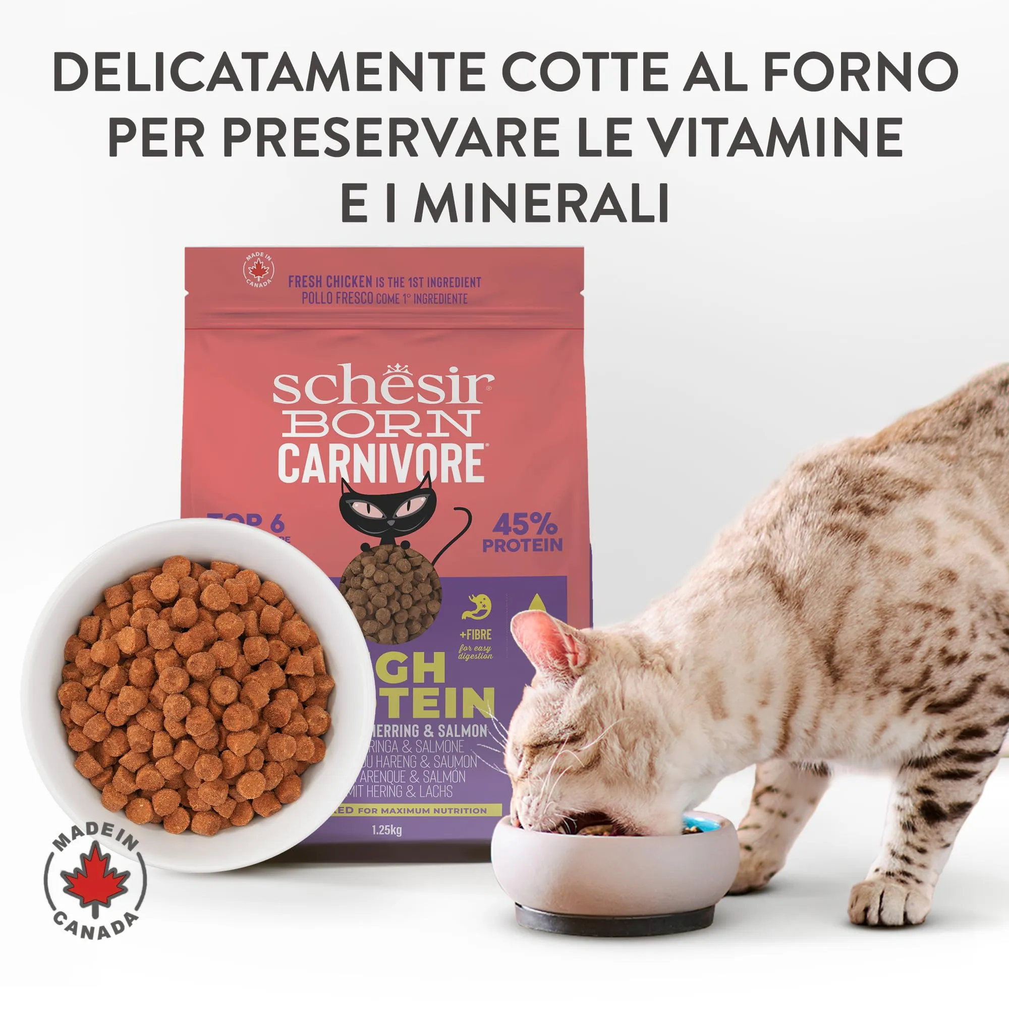 Schesir Born Carnivore, al gusto Pollo e Aringa, Crocchette per gatti adulti Cotte al forno (Sacco da 255g) - immagine 5