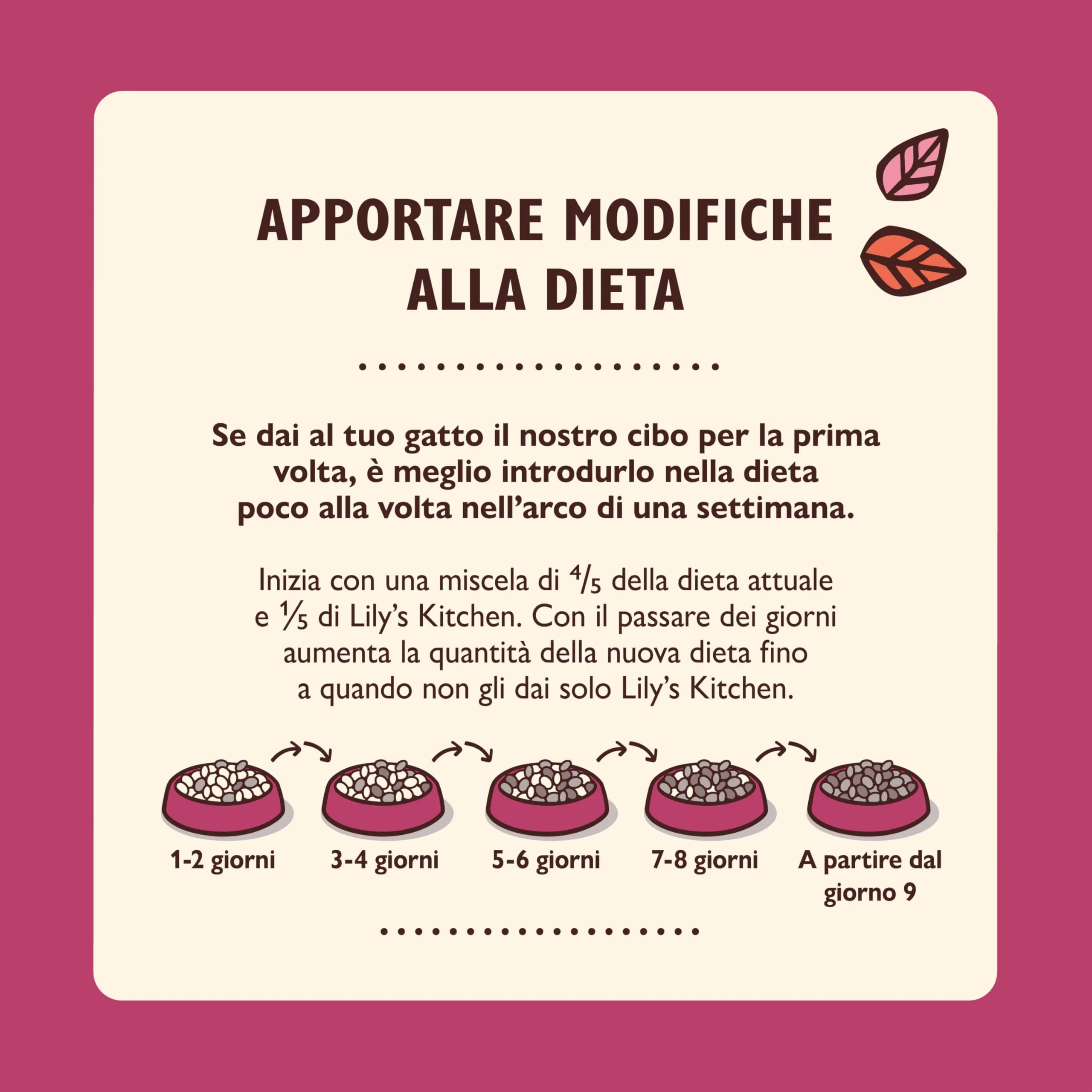 Lily's Kitchen Paté Morbido con Pollo per Gatti Adulti – Cibo Umido Naturale, Senza Cereali, Ricco di Carne (19 x 85 g) - immagine 6