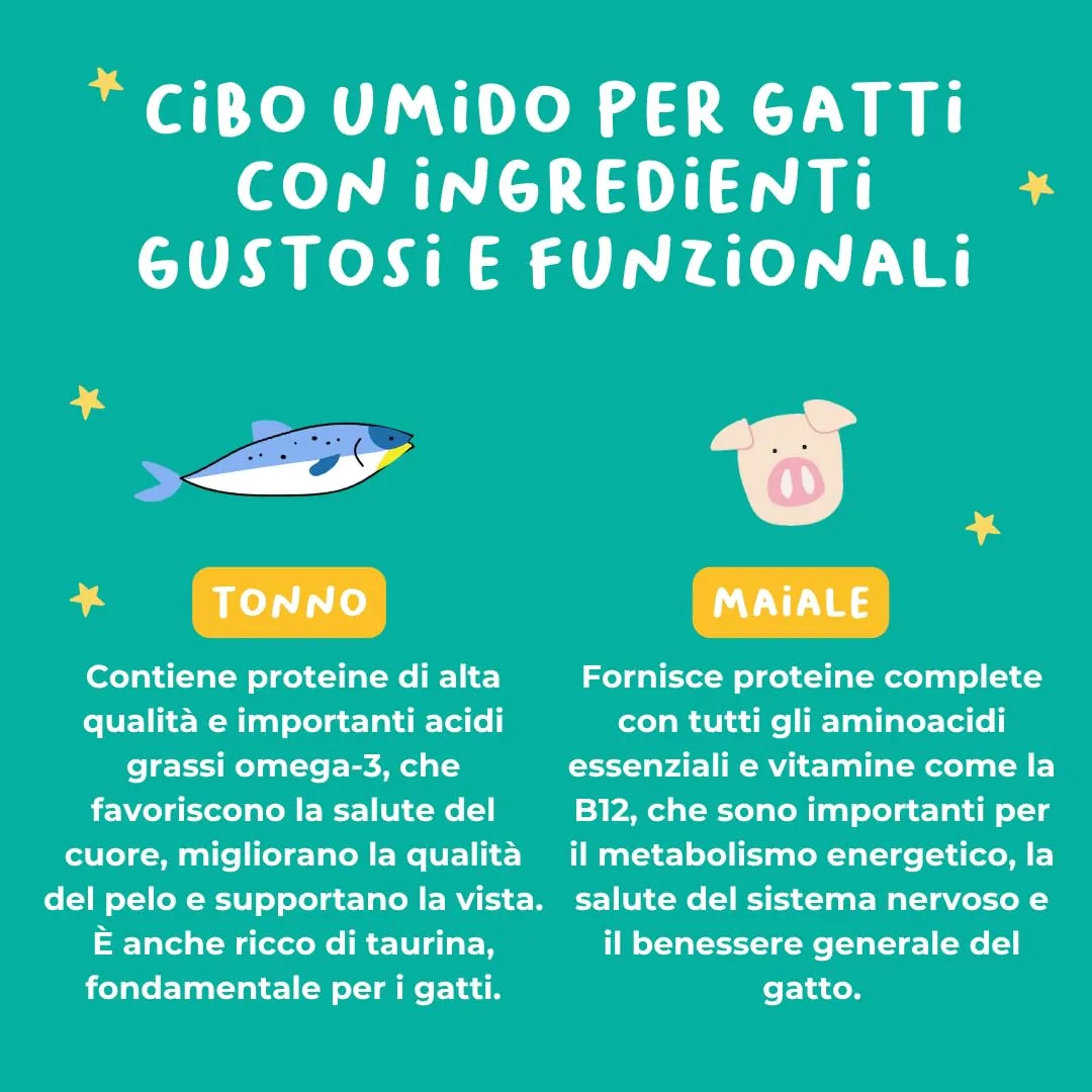 Hygge Cat Filetti di Tonno e Maiale 70% | Cibo Umido per Gatti Adulti Grain Free, Senza Cereali | Scatolette Gatto 36 x 70 g in Brodo | con Omega 3 e Taurina | Made in Italy - immagine 3