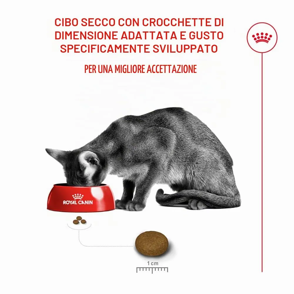 Royal Canin Fussy Exigent | 4 kg | Alimento completo per gatti adulti esigenti | Combinazione di aromi e forma speciale delle crocchette | Ricco di proteine - immagine 3