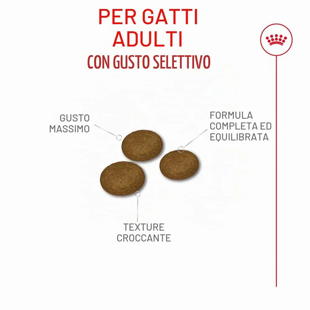 Royal Canin Fussy Exigent | 4 kg | Alimento completo per gatti adulti esigenti | Combinazione di aromi e forma speciale delle crocchette | Ricco di proteine - immagine 4