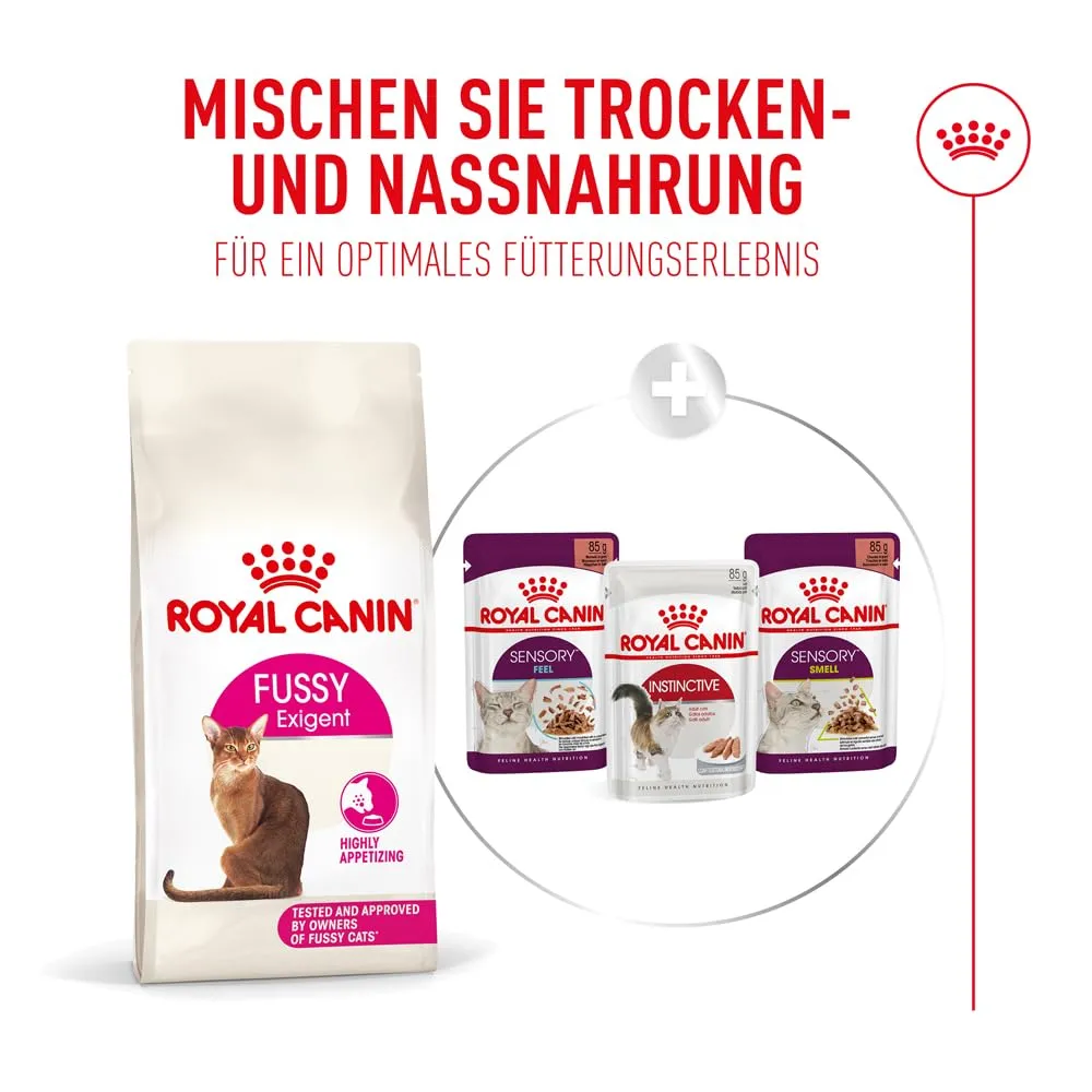Royal Canin Fussy Exigent | 4 kg | Alimento completo per gatti adulti esigenti | Combinazione di aromi e forma speciale delle crocchette | Ricco di proteine - immagine 7