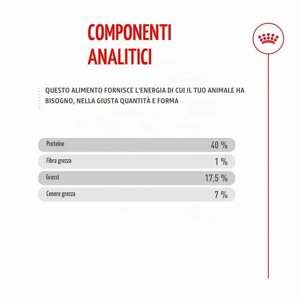 Royal Canin Fussy Exigent | 4 kg | Alimento completo per gatti adulti esigenti | Combinazione di aromi e forma speciale delle crocchette | Ricco di proteine - immagine 8
