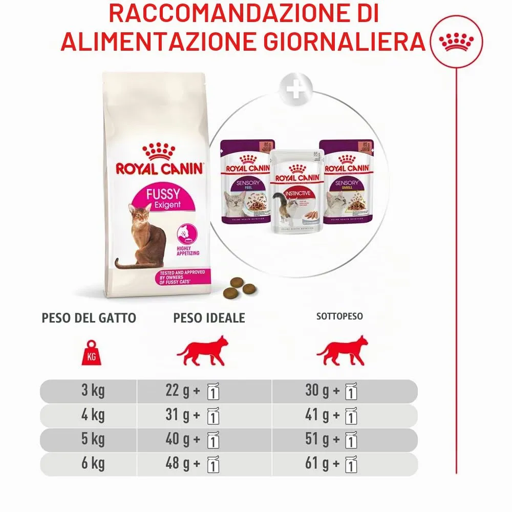 Royal Canin Fussy Exigent | 4 kg | Alimento completo per gatti adulti esigenti | Combinazione di aromi e forma speciale delle crocchette | Ricco di proteine - immagine 9