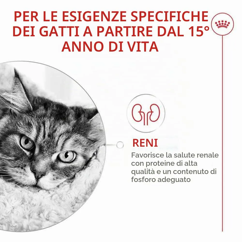 ROYAL CANIN AGEING 15+ | 2 kg | Alimento secco per gatti senior a partire dal 15° anno di età | Formula con HealthyAge7™ Complex | Contiene crocchette facili da masticare - immagine 3