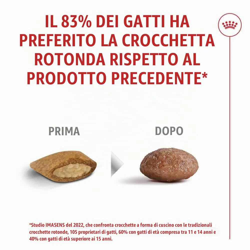 ROYAL CANIN AGEING 15+ | 2 kg | Alimento secco per gatti senior a partire dal 15° anno di età | Formula con HealthyAge7™ Complex | Contiene crocchette facili da masticare - immagine 6