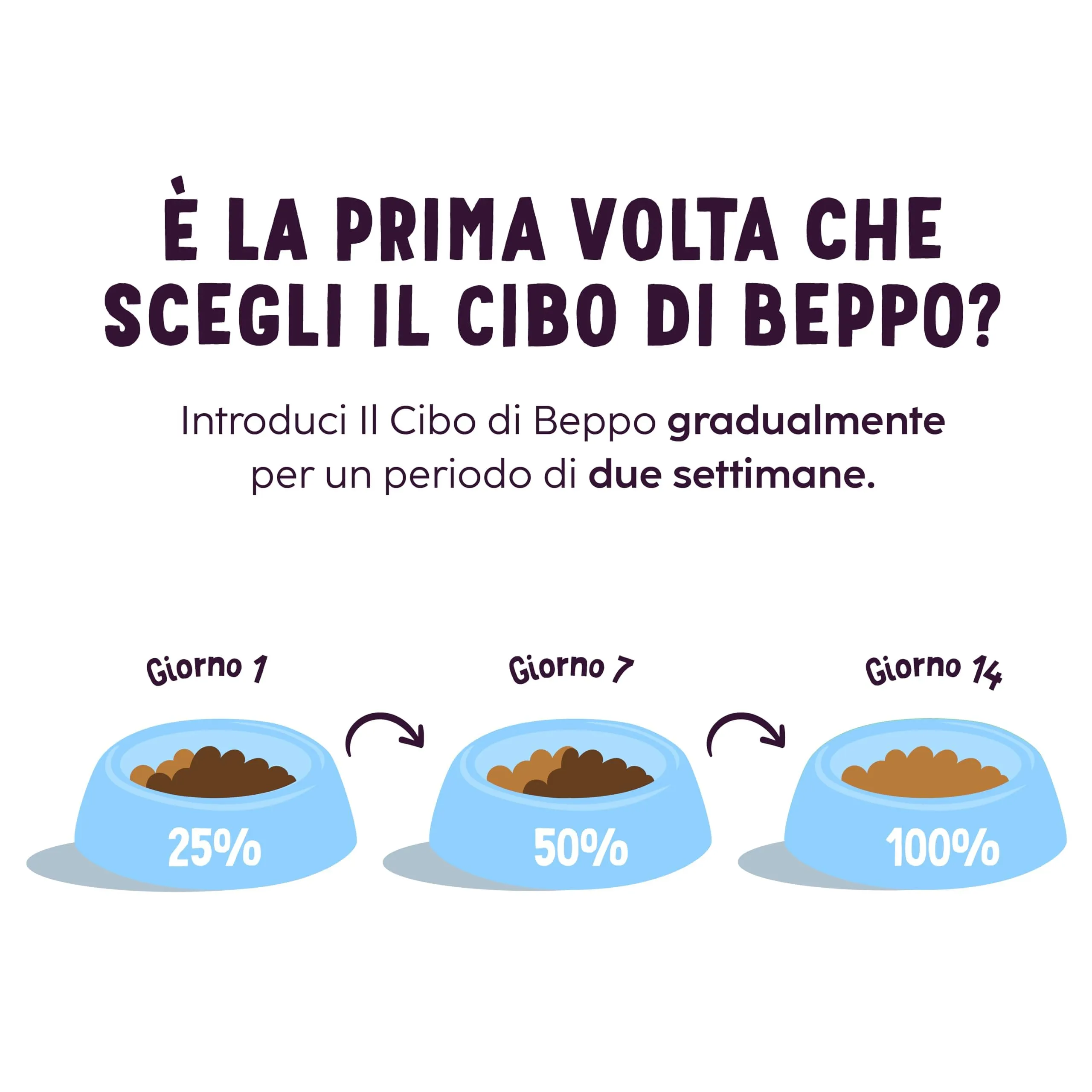 Il Cibo di Beppo Umido per Gatti Sterilizzati - 12 Lattine da 85g - Alimento Completo di Alta Qualità (12 lattine da 85g, all'Anatra con Cubetti di Maiale) - immagine 6