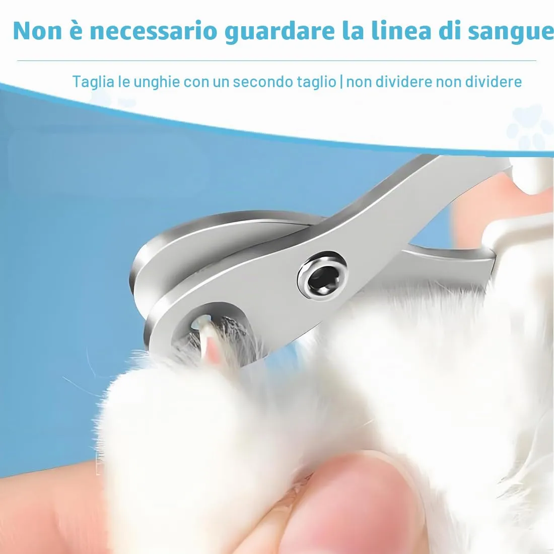 Tagliaunghie Gatto Realizzato in acciaio inossidabile, Professionale Taglia Unghie Gatto Con Foro Di Posizionamento, Taglia Unghie Per Gatti Domestici (Singolo foro, Blu) - immagine 6