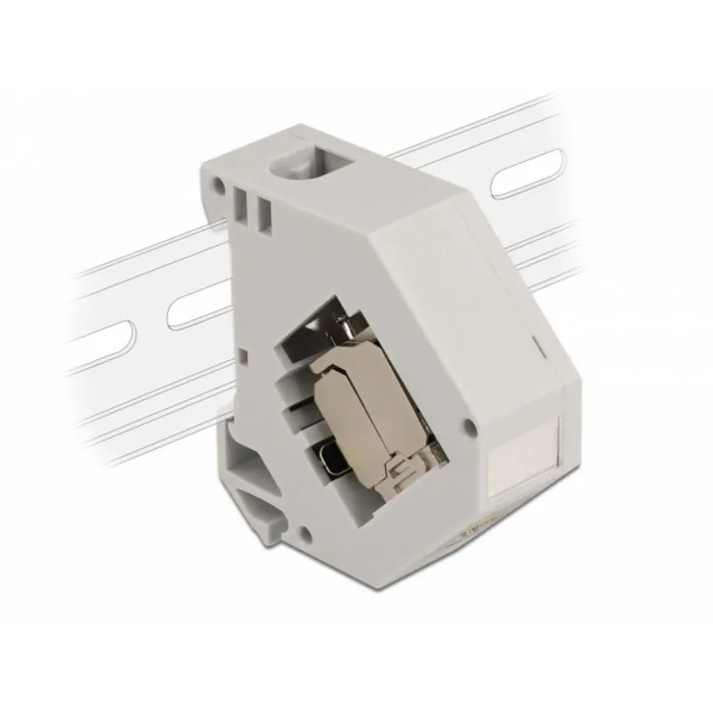 Adattatore per binario DIN con modulo Keystone RJ-45 femmina Cat.6A LSA DeLOCK - immagine 1