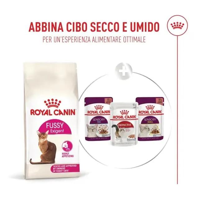 Royal Canin Cat Fussy Exigent | Croccantini per Gatti | Sacco da 2 kg - immagine 2