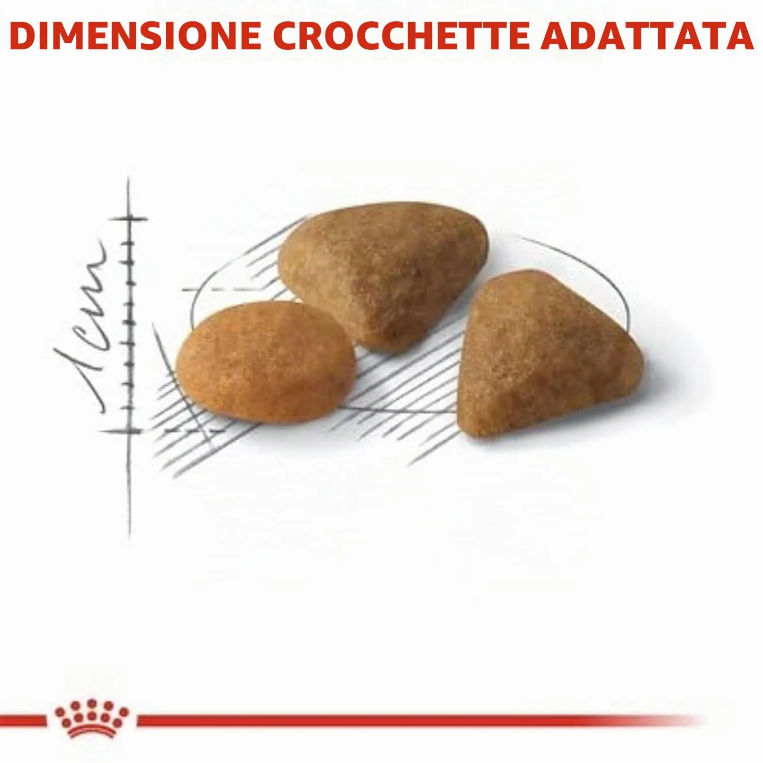 Royal Canin Cat Fussy Exigent | Croccantini per Gatti | Sacco da 2 kg - immagine 3