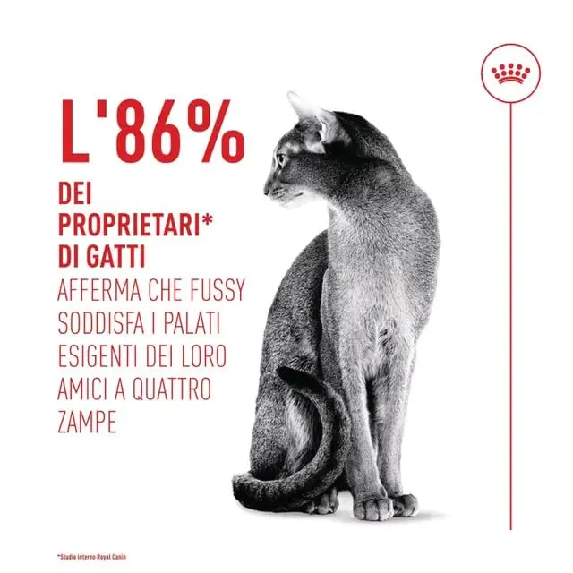 Royal Canin Cat Fussy Exigent | Croccantini per Gatti | Sacco da 2 kg - immagine 4