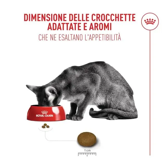 Royal Canin Cat Fussy Exigent | Croccantini per Gatti | Sacco da 2 kg - immagine 5