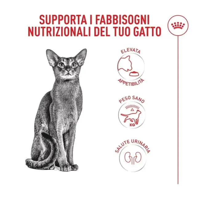 Royal Canin Cat Fussy Exigent | Croccantini per Gatti | Sacco da 2 kg - immagine 6