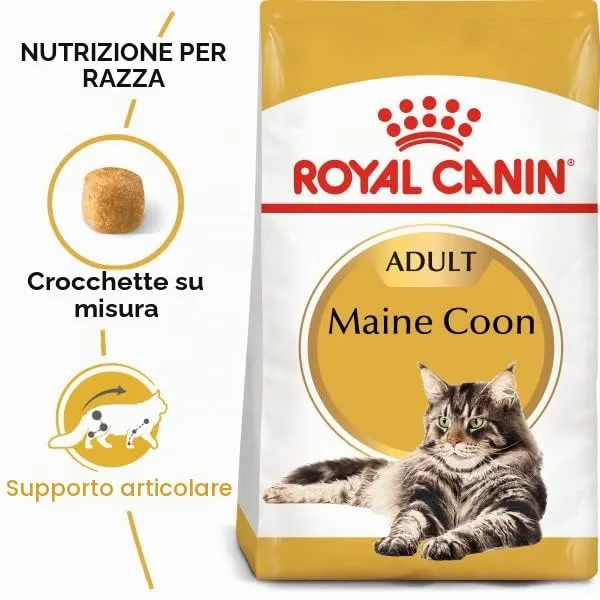 Royal Canin Maine Coon 31 - immagine 2