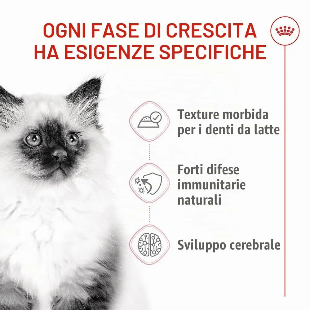 Royal Canin Kitten | 12 x 85 g | Cibo umido per gattini | Pezzetti fini in salsa | Specialmente per gattini nella seconda fase di crescita fino a 12 mesi - immagine 3
