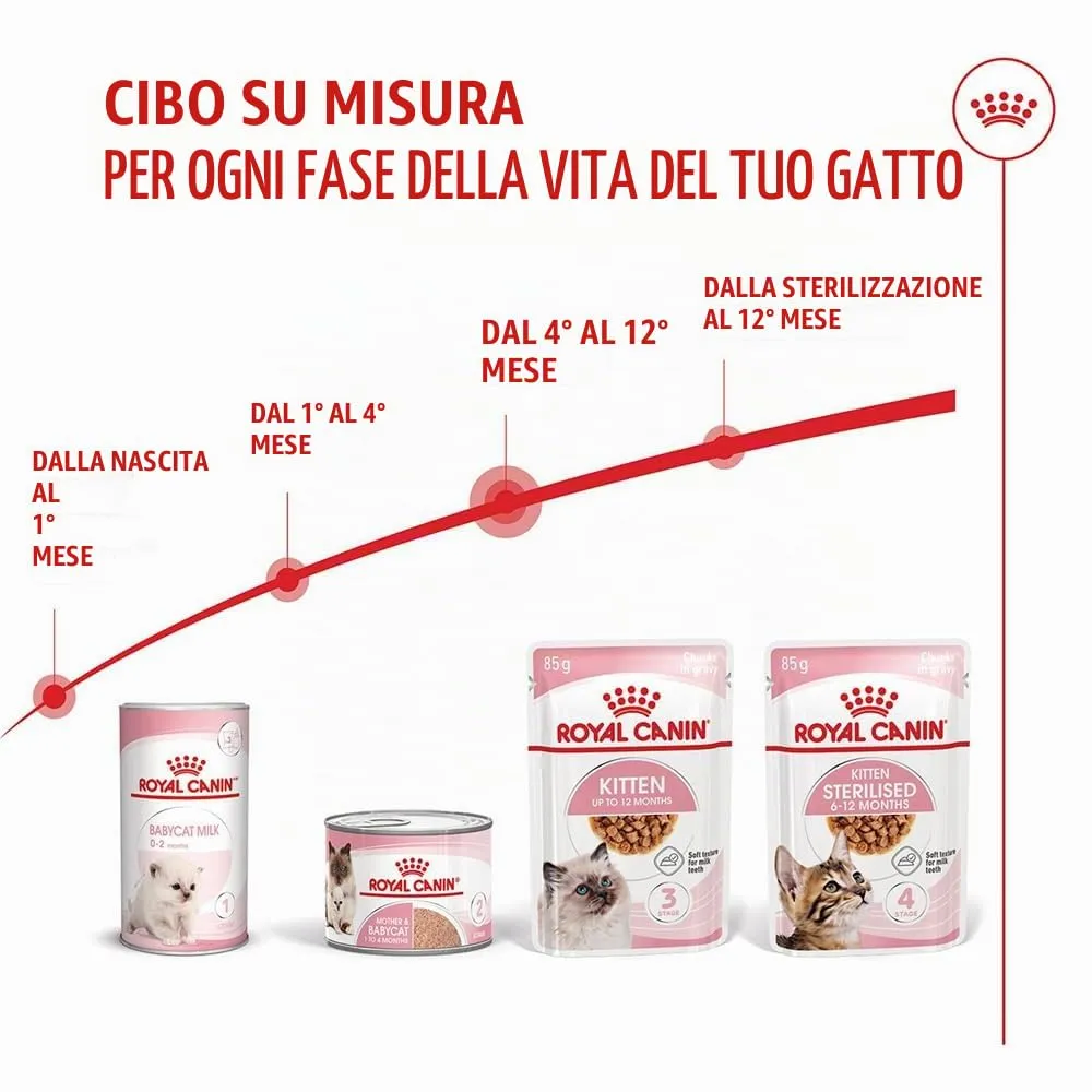 Royal Canin Kitten | 12 x 85 g | Cibo umido per gattini | Pezzetti fini in salsa | Specialmente per gattini nella seconda fase di crescita fino a 12 mesi - immagine 6
