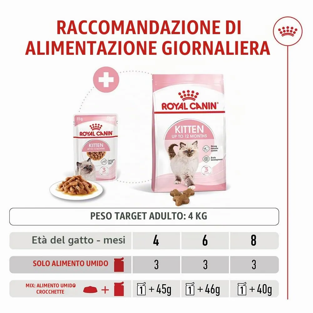 Royal Canin Kitten | 12 x 85 g | Cibo umido per gattini | Pezzetti fini in salsa | Specialmente per gattini nella seconda fase di crescita fino a 12 mesi - immagine 7