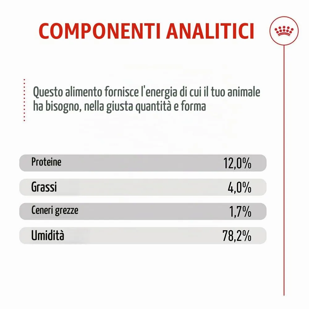 Royal Canin Kitten | 12 x 85 g | Cibo umido per gattini | Pezzetti fini in salsa | Specialmente per gattini nella seconda fase di crescita fino a 12 mesi - immagine 8