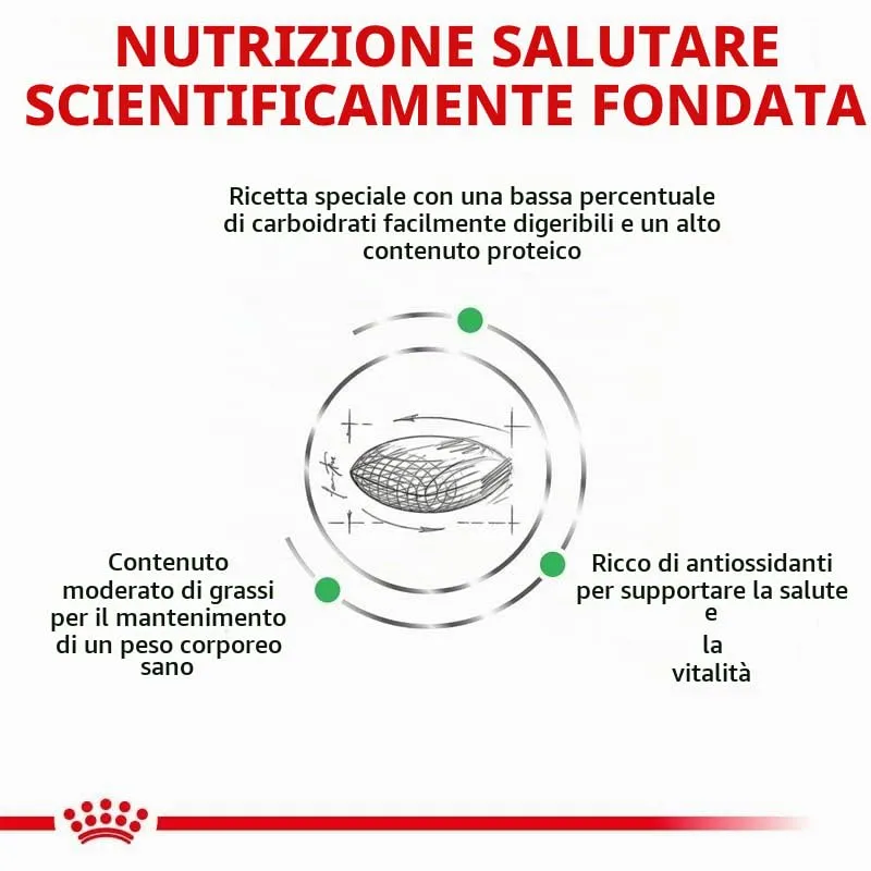 ROYAL CANIN Veterinary DIABETIC | 3,5 kg | Alimento dietetico completo per gatti | Per la regolazione dell'apporto di glucosio | A basso contenuto di monosaccaridi e disaccaridi - immagine 5