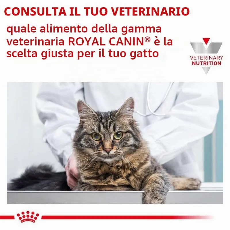ROYAL CANIN Veterinary DIABETIC | 3,5 kg | Alimento dietetico completo per gatti | Per la regolazione dell'apporto di glucosio | A basso contenuto di monosaccaridi e disaccaridi - immagine 8
